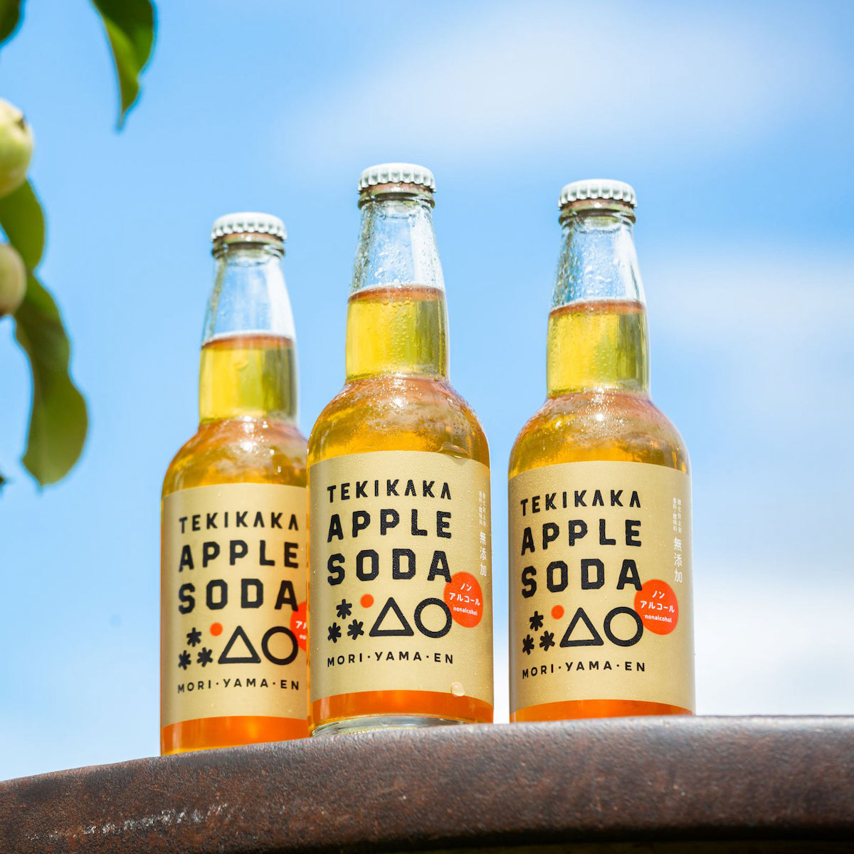 テキカカアップルソーダ［330ml］ – awa MARCHE